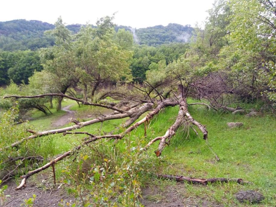 Atico En Pleno Pirineo Apartman El Pueyo de Jaca Kültér fotó