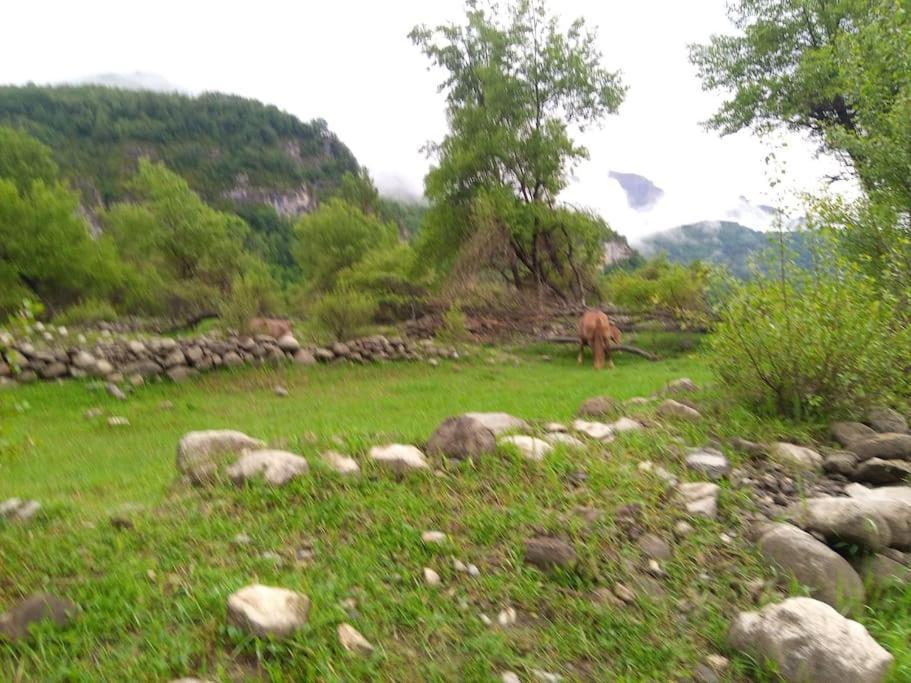 Atico En Pleno Pirineo Apartman El Pueyo de Jaca Kültér fotó
